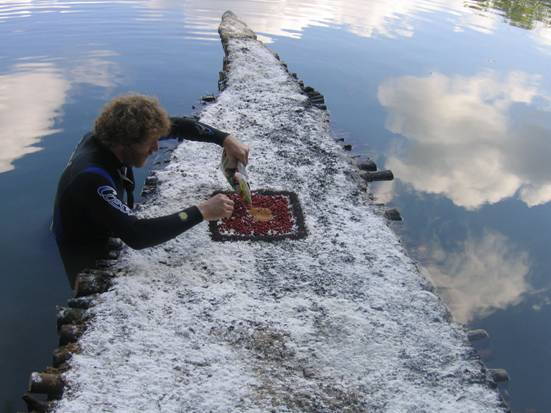 rêve d'O_installations land art sur l'eau, eric est en combinaison de plongée occupé à faire un dessin en graines pour les oiseaux sur un ponton a fleur d'eau construit en branchages et recouvert de terre, farine et café